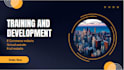 build luxury website design and website development