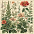 create amazing botanical illustration