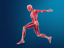 draw exercise, medical and anatomy illustrations