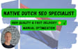 do expert on page SEO analysis and optimization for your website