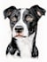 design a custom disney pet portrait illustration