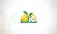 design a professional arabic and urdu calligraphy logo