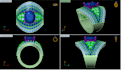 create a modern 3d cad jewelry design and render it