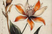 create amazing botanical illustration art
