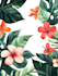 make a botanical illustration