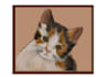 draw your cat digitally
