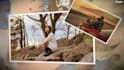 do stunning photo slideshow video and wedding slideshow