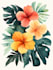 draw an unique botanical illustration
