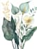 illustrate best botanical illustration