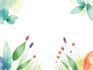 paint water colour  illustrations