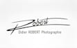 design unique signature photography watermark or vector logo
