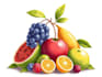 draw realistic plants, vegetables, fruits illustrator