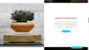 build high converting shopify home decor store, levitating bonsai plants website