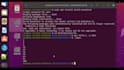 develop custom c cpp and java software applications