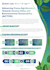 modern business infographic and report
