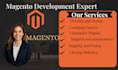 do magento store setup, theme customization, bug fixing and speed optimization