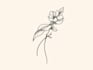 create minimalist tattoo, monoline, line art illustration