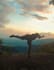 teach personalized yoga and guided meditation online