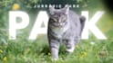 do designs in canva