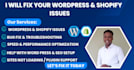 fix and speed optimize wordpress, shopify websites fast