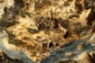 do you rpg fantasy map
