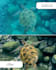 do professional photoshop photo editing and high end retouching