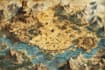 design a fantasy map illustration