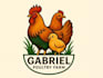do professional vintage farm logo design