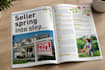do pro editorial design, brochure, layout, or presentation