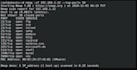 do pentesting of websites and applications