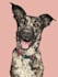 draw pet portrait into cartoon disney