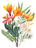 draw realistic botanical illustration