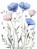 illustrate best botanical illustration