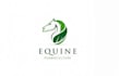 make unique pets, animals and equestrian logo or any graphics design