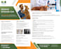 design a clean modern business flyer that converts