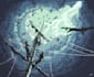 make artistic cinematic illustrations