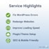 fix, redesign, or speed up your existing wordpress website