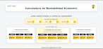professional web developer and designer