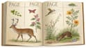 draw animals, plants or encyclopedia book illustrations