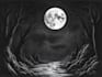 draw dark art illustration with engraving style