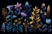 create amazing botanical illustration