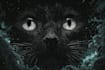 draw dark art animal illustration