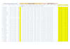 automate excel spreadsheet with advanced formulas