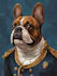 draw pets portrait illustration in style