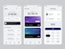 develop crypto wallet app nfc payment app fintech app