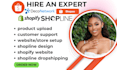 build shopify stores dropshipping stores shopee ads ecommerce stores deconetwork