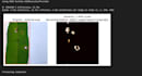 provide object detection and computer vision solutions
