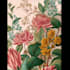 create a beautiful vintage botanical illustration poster