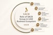 help you set up your uae business