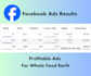 setup and manage profitable facebook ads and smart fb ads campaing